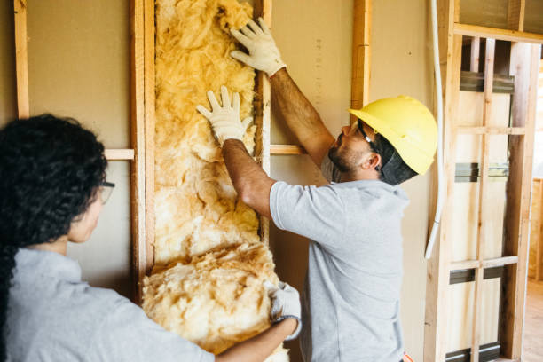 Eco-Friendly or Green Insulation Solutions in Logan, NM